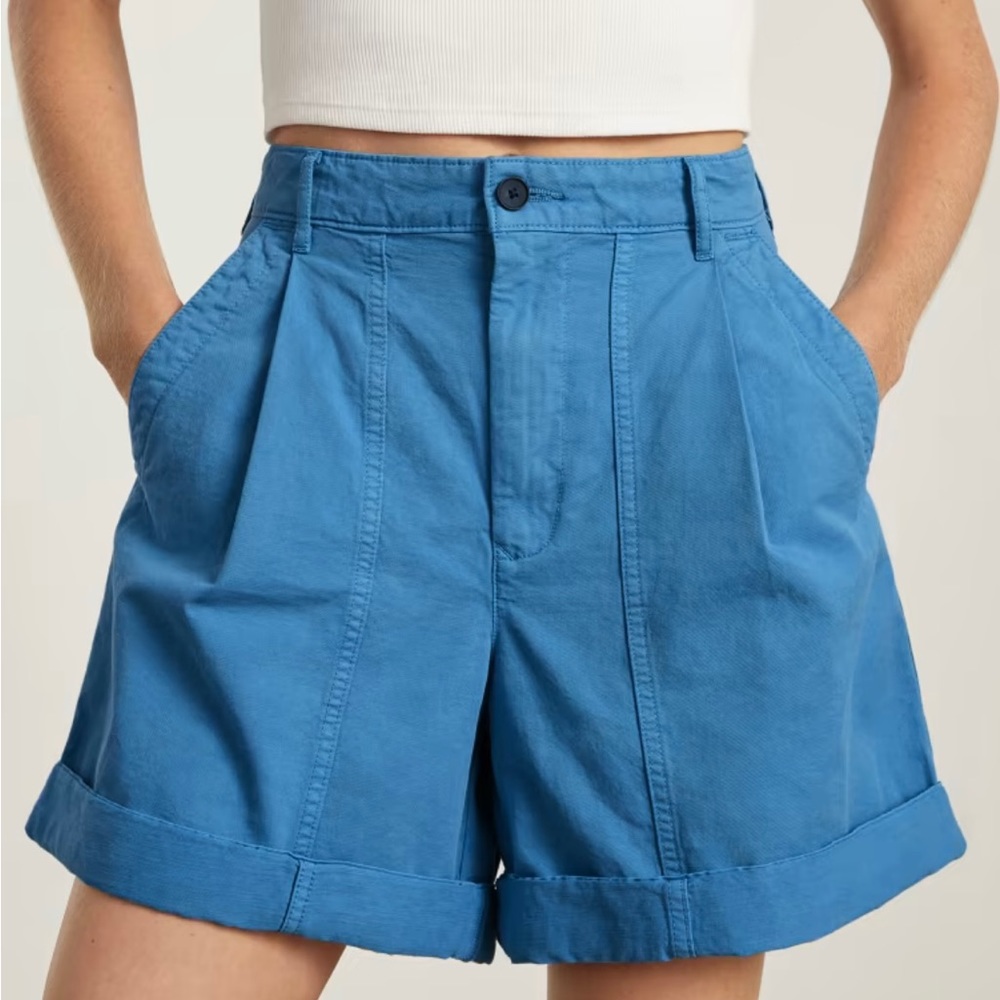 Light blue shorts - Everlane, Size 14